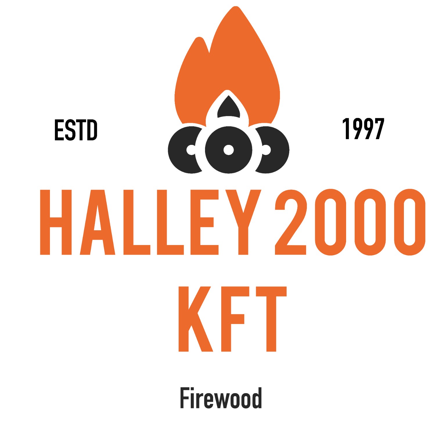 Logo HALLEY 2000 KFT